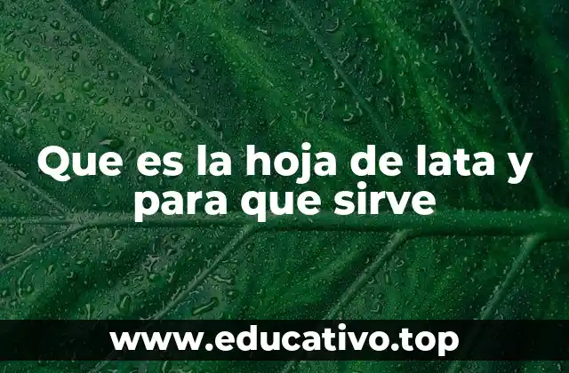 Que es la hoja de lata y para que sirve