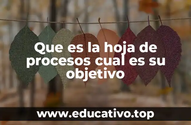 Que es la hoja de procesos cual es su objetivo