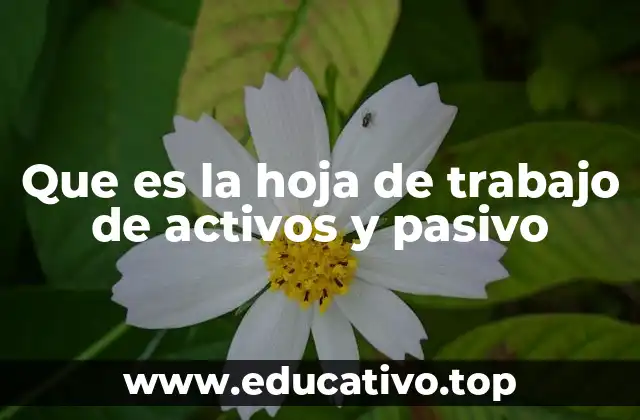 Que es la hoja de trabajo de activos y pasivo