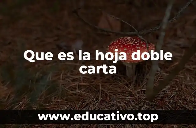 Uso y aplicaciones de la hoja A4