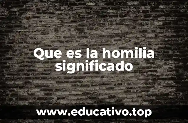 Que es la homilia significado