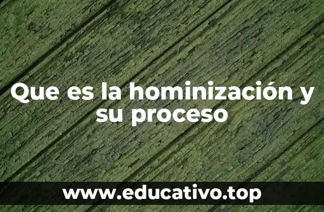 Que es la hominización y su proceso