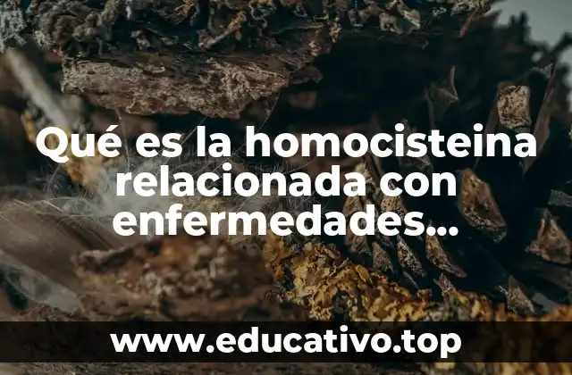 Qué es la homocisteina relacionada con enfermedades cardiovasculares