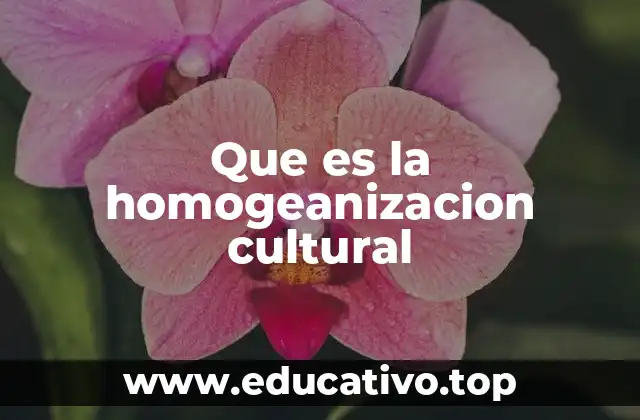 Que es la homogeanizacion cultural