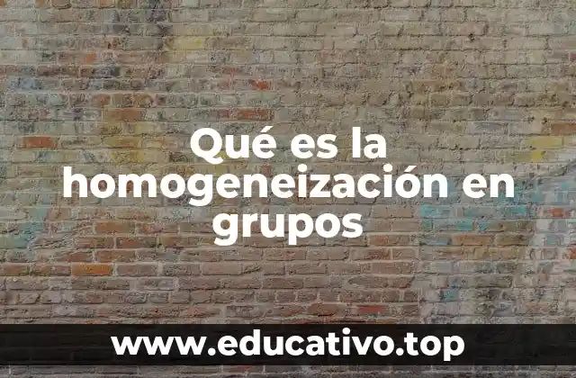 Qué es la homogeneización en grupos