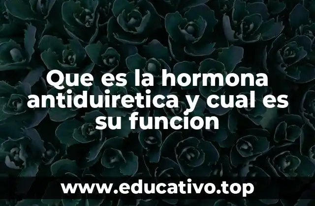 Que es la hormona antiduiretica y cual es su funcion