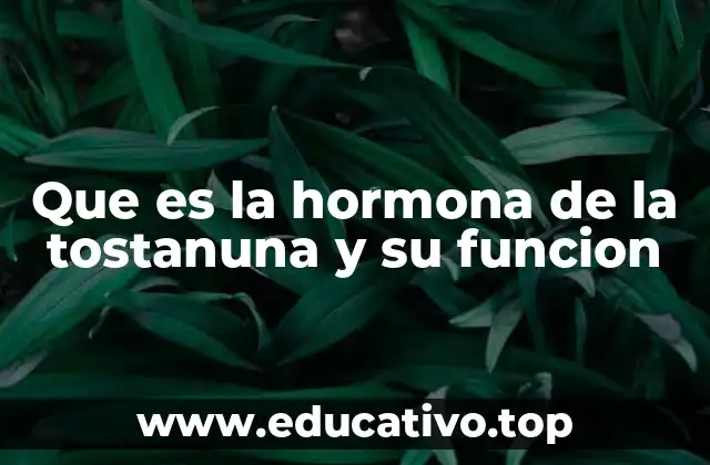 Que es la hormona de la tostanuna y su funcion