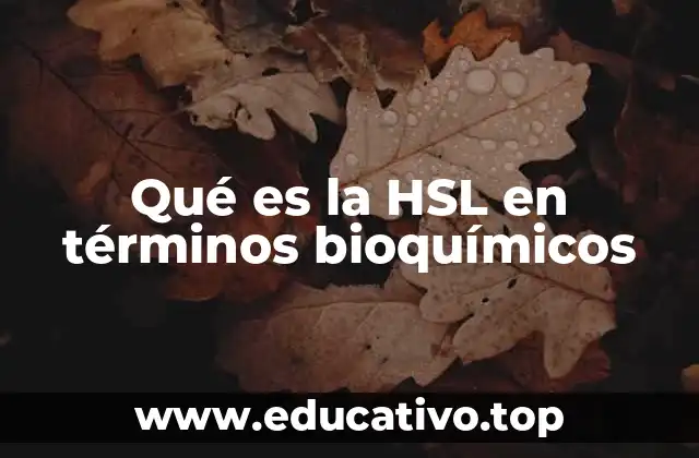 Qué es la HSL en términos bioquímicos