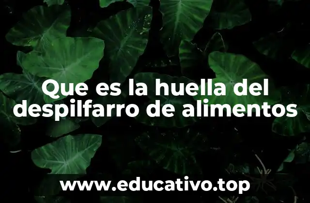 Que es la huella del despilfarro de alimentos