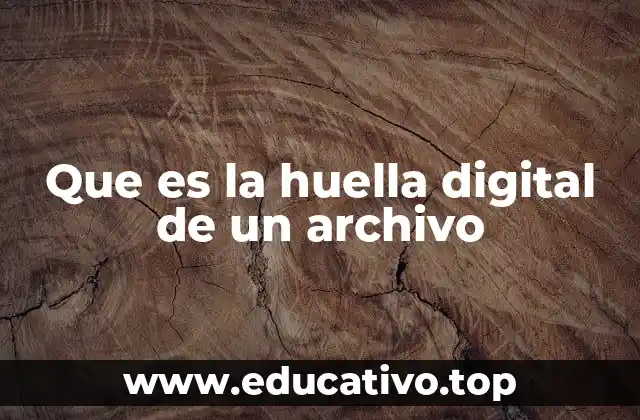 Que es la huella digital de un archivo
