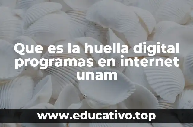 Que es la huella digital programas en internet unam