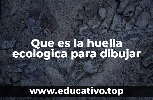 El arte como herramienta para ilustrar la huella ecológica