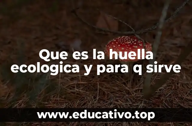 Que es la huella ecologica y para q sirve