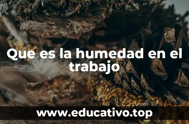 Que es la humedad en el trabajo
