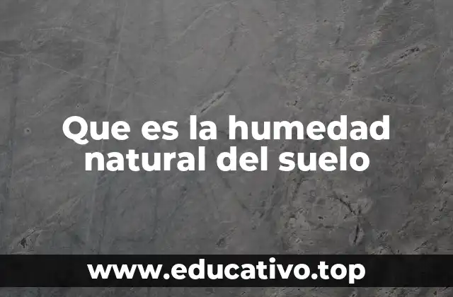 Que es la humedad natural del suelo