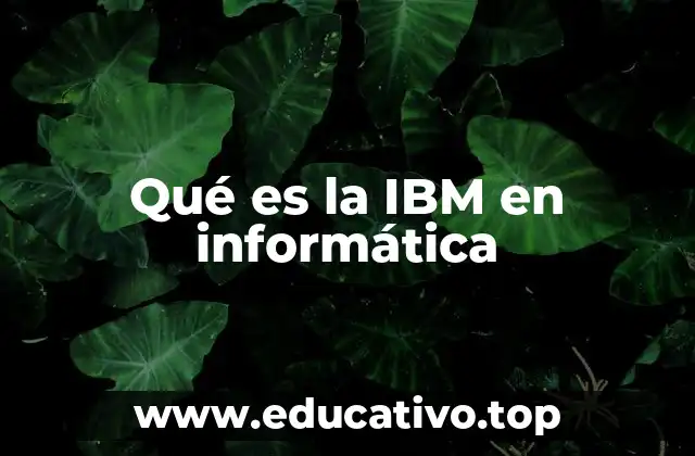 Qué es la IBM en informática