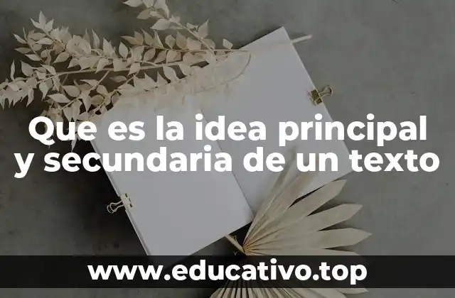 Que es la idea principal y secundaria de un texto