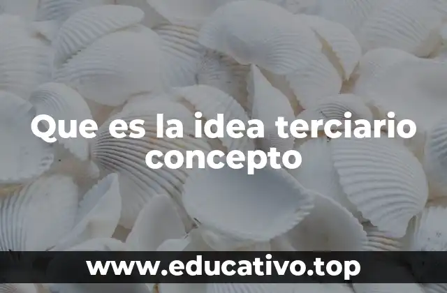 Que es la idea terciario concepto