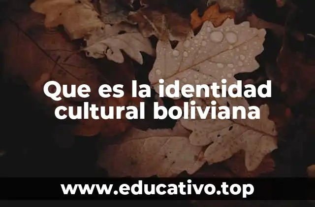 Que es la identidad cultural boliviana