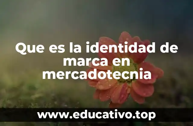 Que es la identidad de marca en mercadotecnia