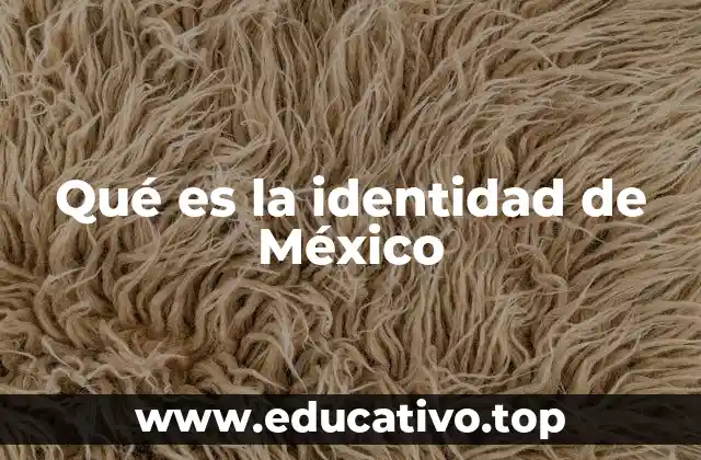 Qué es la identidad de México