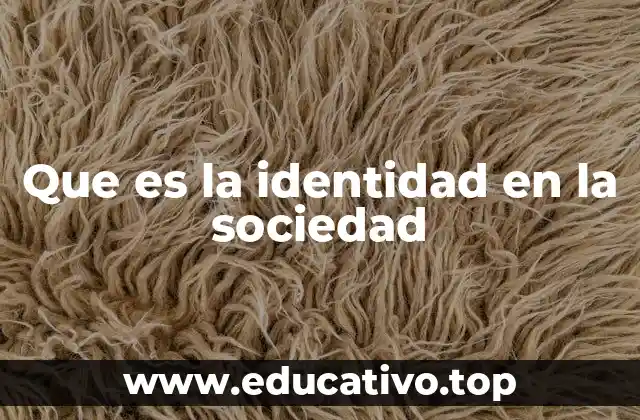Que es la identidad en la sociedad