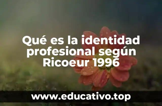 Qué es la identidad profesional según Ricoeur 1996