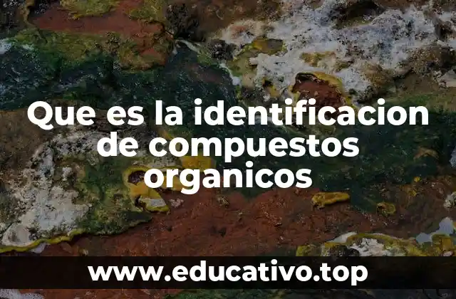 Que es la identificacion de compuestos organicos