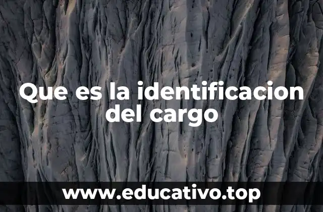 Que es la identificacion del cargo