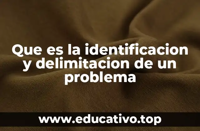 Que es la identificacion y delimitacion de un problema