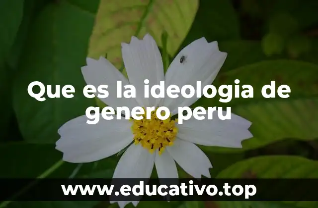 Que es la ideologia de genero peru