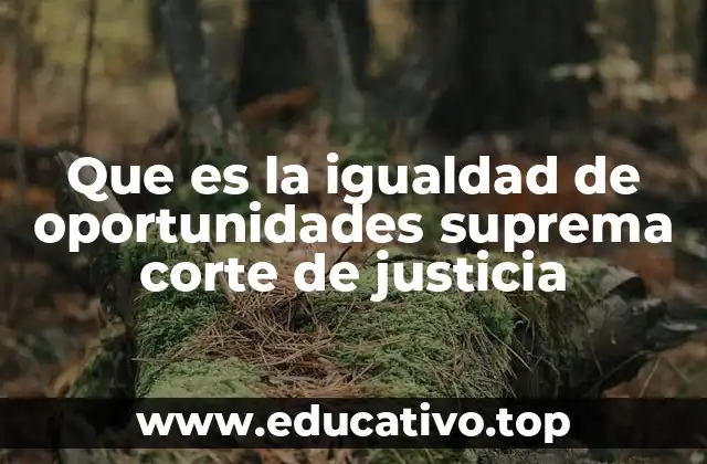 Que es la igualdad de oportunidades suprema corte de justicia