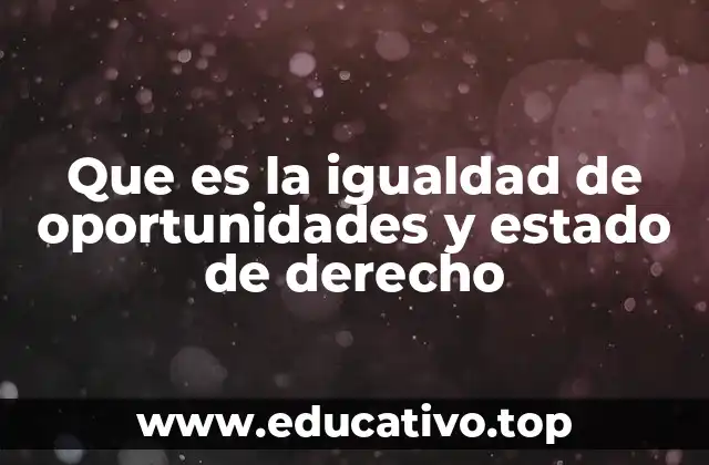 Que es la igualdad de oportunidades y estado de derecho