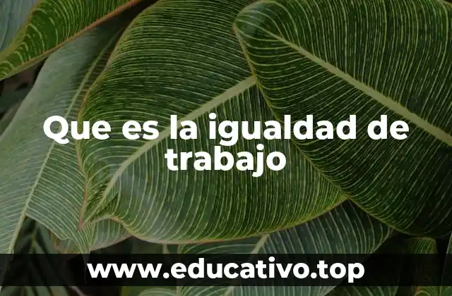 Que es la igualdad de trabajo
