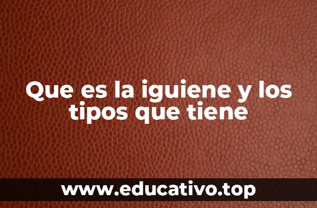 Que es la iguiene y los tipos que tiene