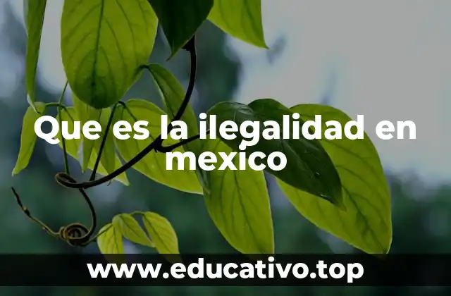 Que es la ilegalidad en mexico