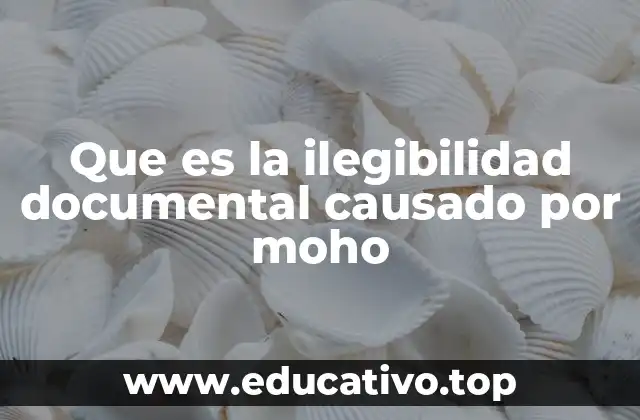 Cómo el moho afecta la preservación de documentos