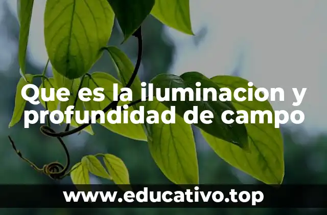 Que es la iluminacion y profundidad de campo