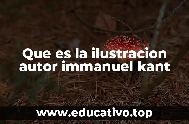 La Ilustración como base de la modernidad