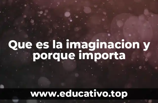 Que es la imaginacion y porque importa
