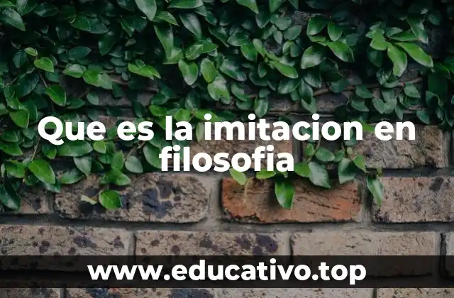 Que es la imitacion en filosofia