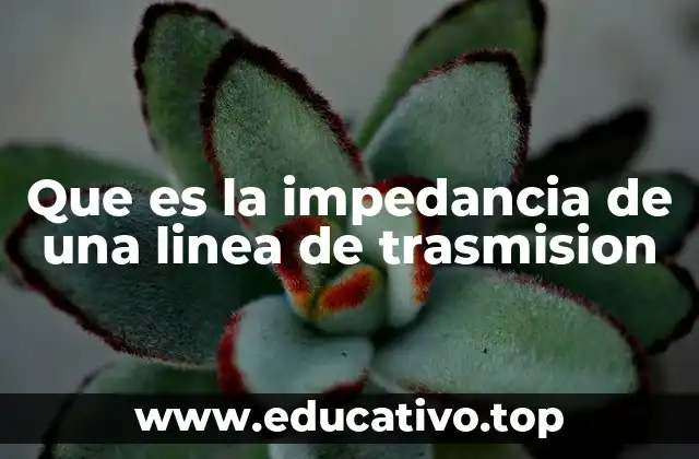 Que es la impedancia de una linea de trasmision