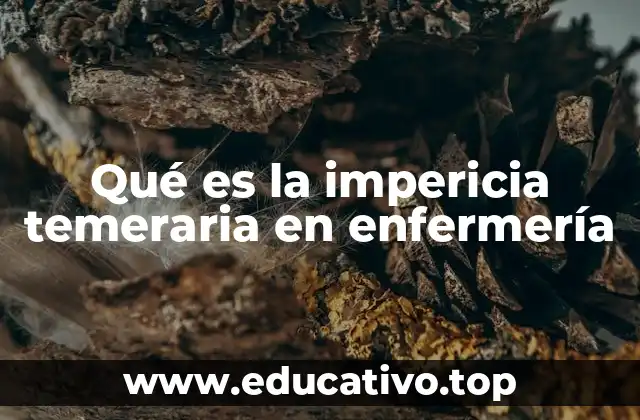 La conexión entre la formación profesional y la seguridad del paciente