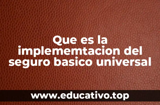 Que es la implememtacion del seguro basico universal