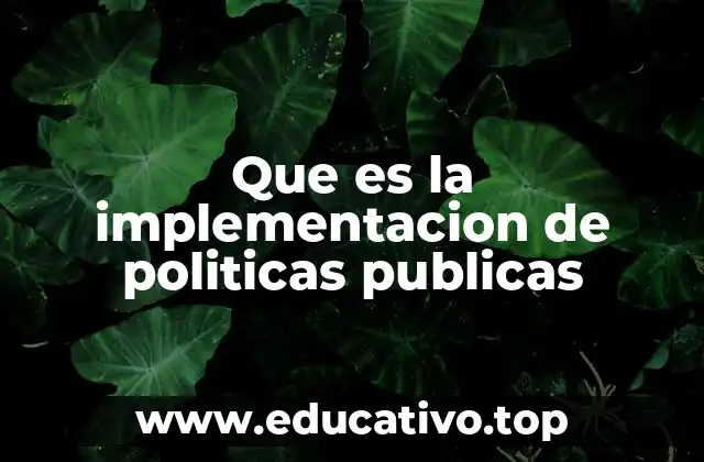 Que es la implementacion de politicas publicas