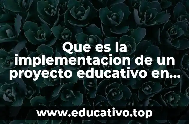 Que es la implementacion de un proyecto educativo en valores
