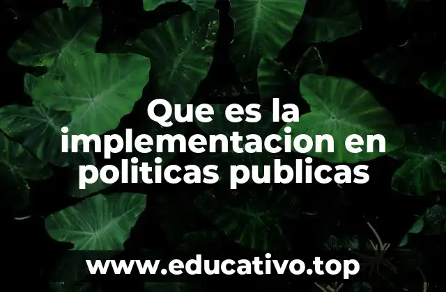 Que es la implementacion en politicas publicas
