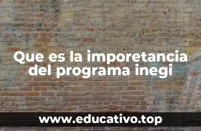 Que es la imporetancia del programa inegi