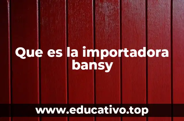 Que es la importadora bansy
