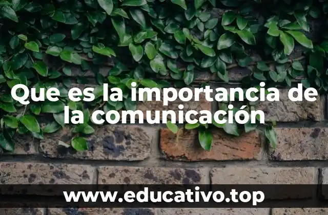 Que es la importancia de la comunicación